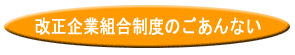 改正企業組合制度のごあんない